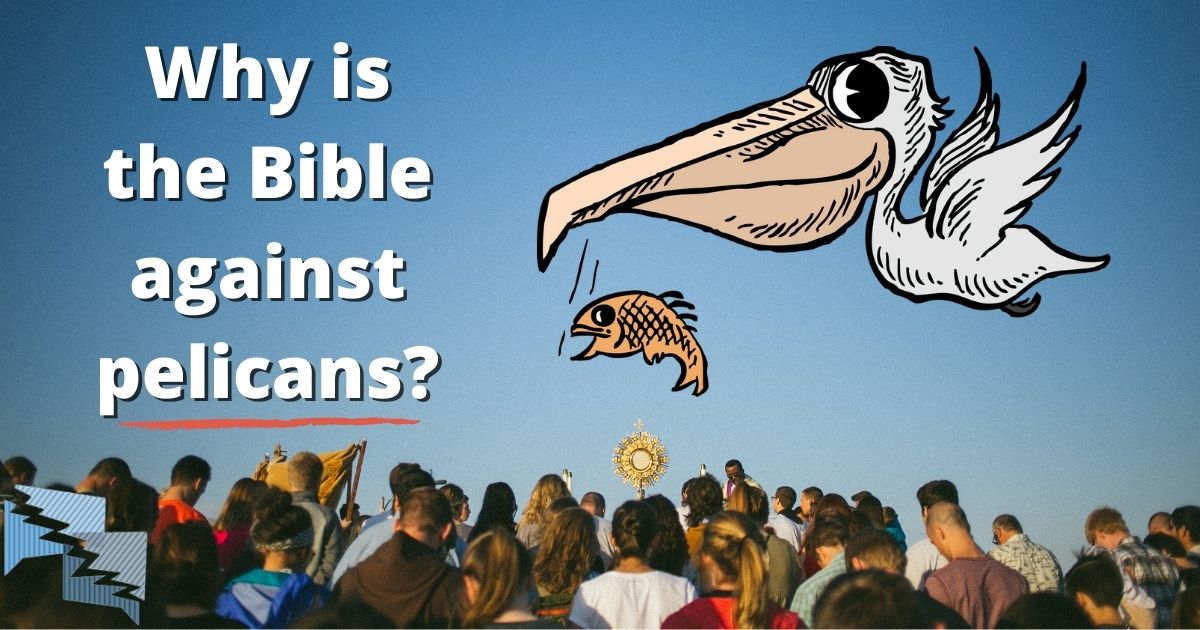 Why is the Bible against pelicans?