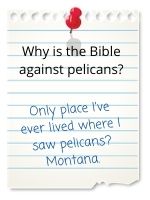 Only place I've ever lived where I saw pelicans? Montana.