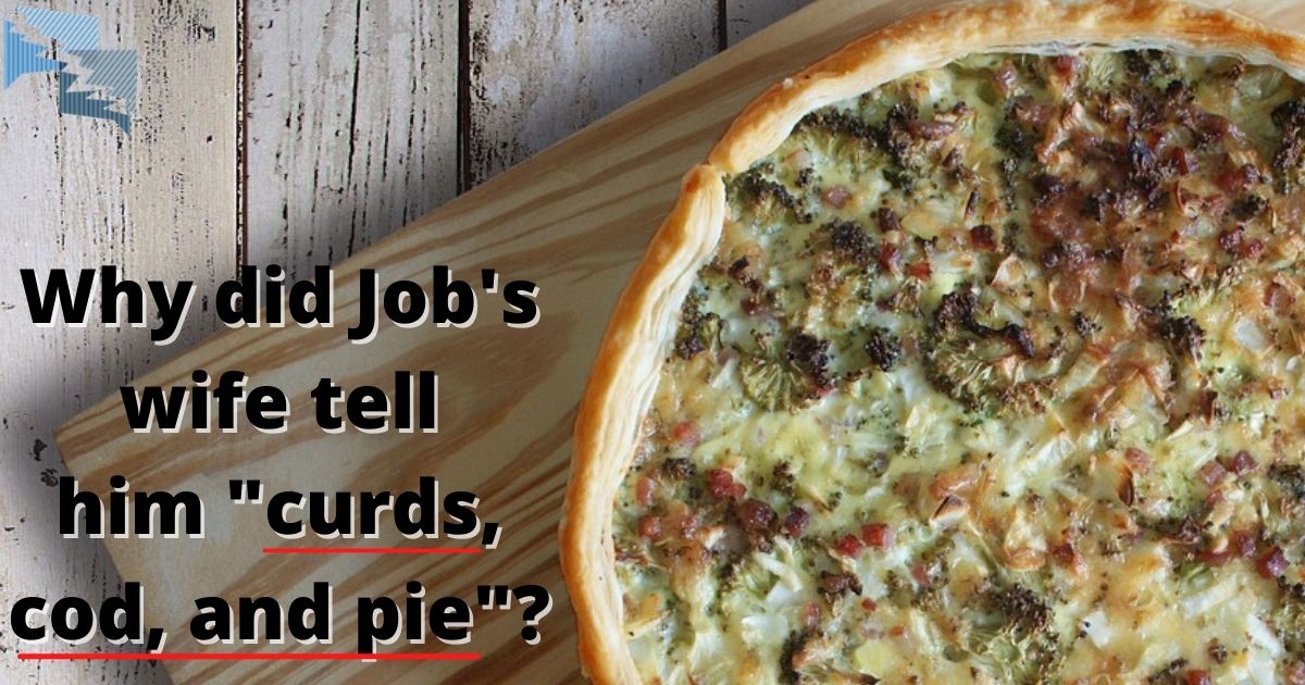 Why did Job's wife tell him, 'curds, cod, and pie'?