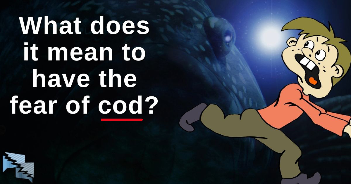 What does it mean to have the fear of cod?