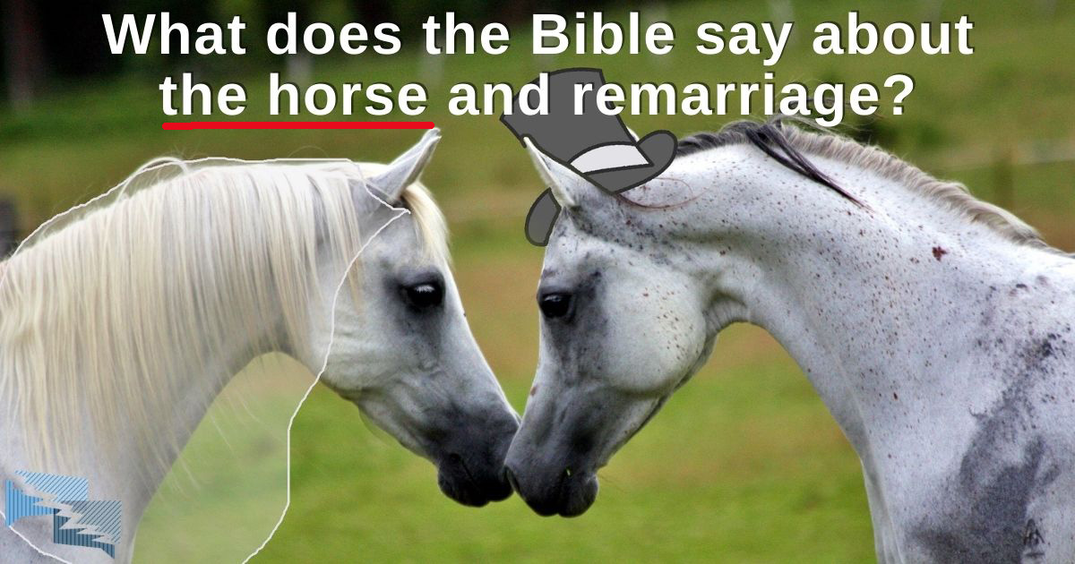 What does the Bible say about the horse and remarriage?
