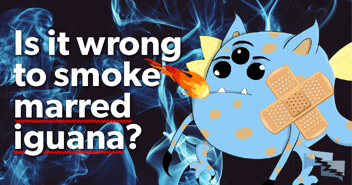 Is it wrong to smoke marred iguana?