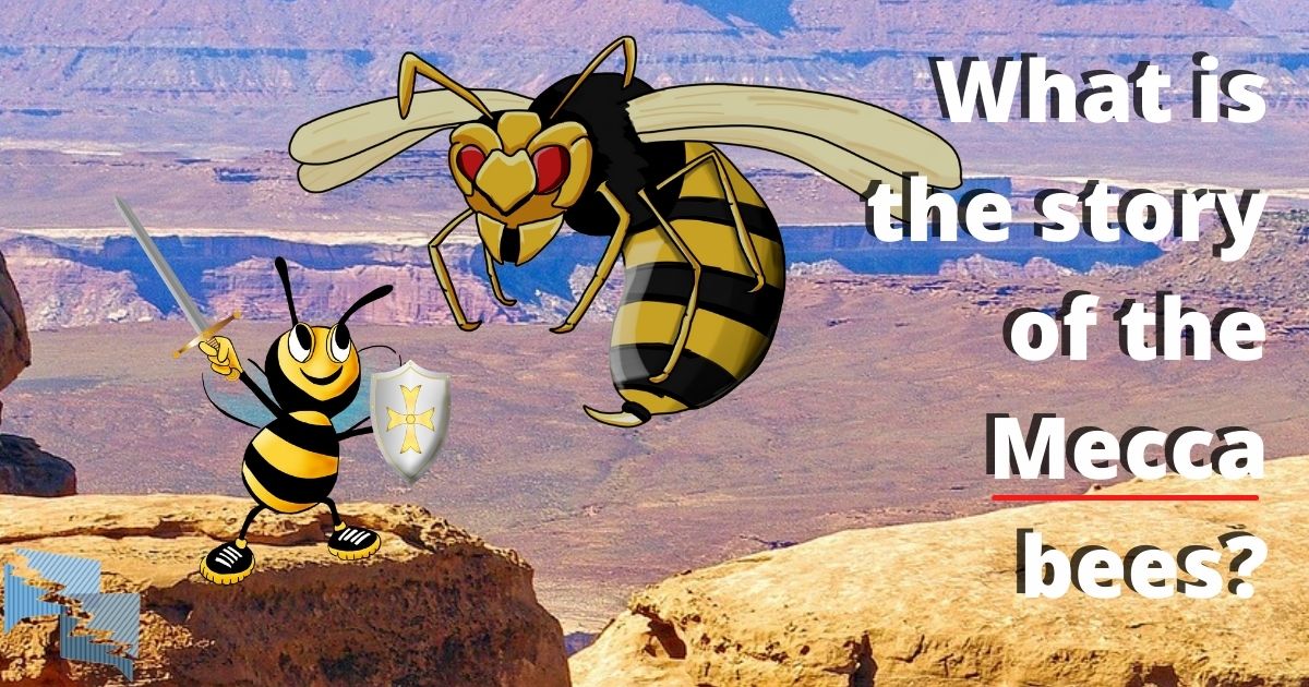 What is the story of the Mecca bees?
