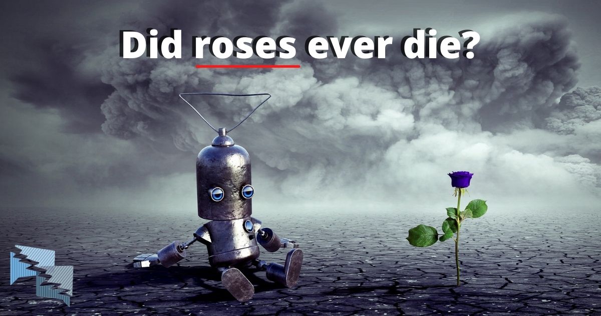 Did roses ever die?