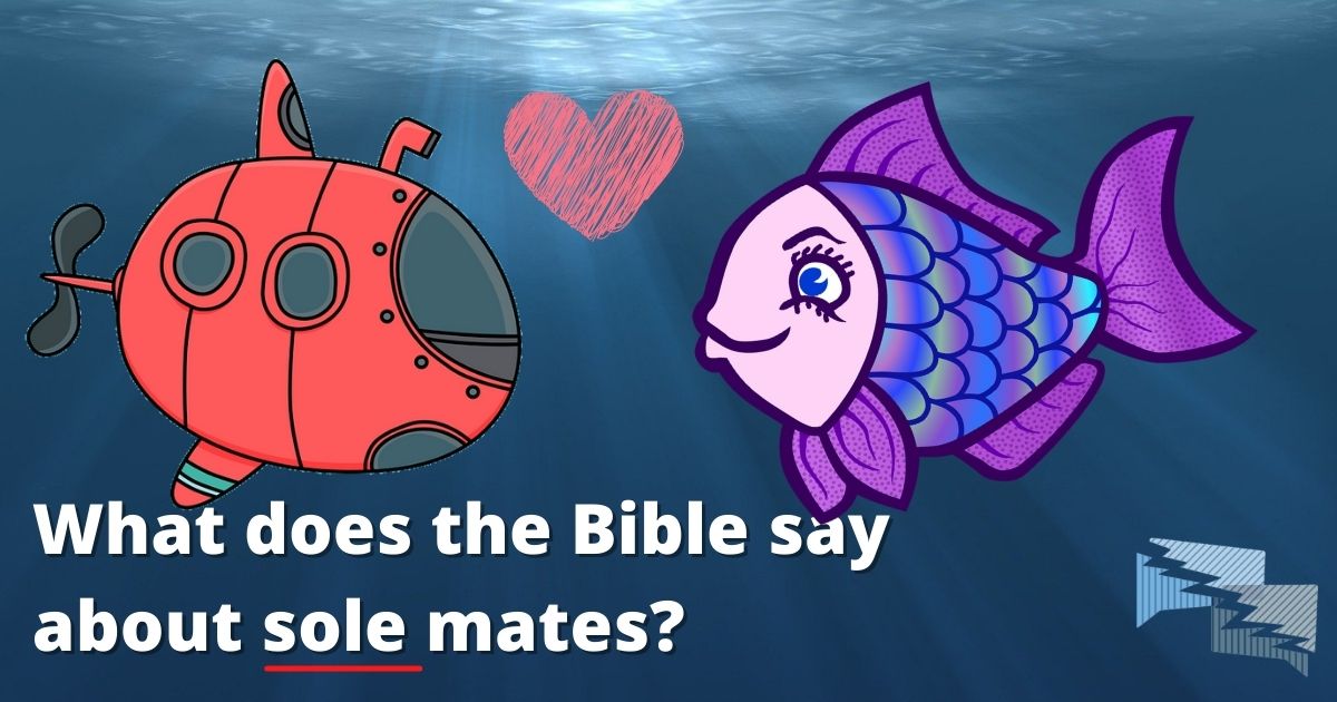 What does the Bible say about sole mates?