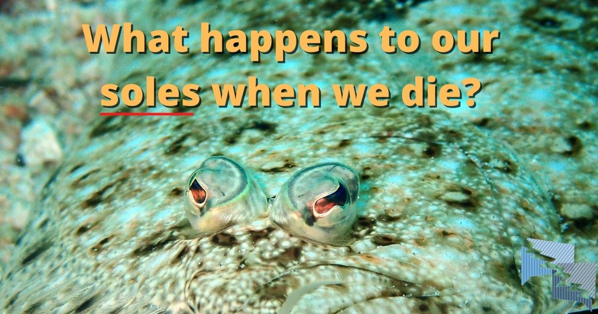 What happens to our soles when we die?