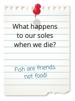 Fish are friends, not food!