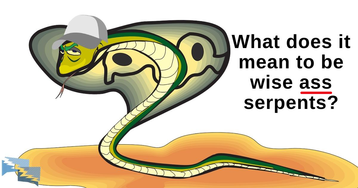 What does it mean to be wise ass serpents?